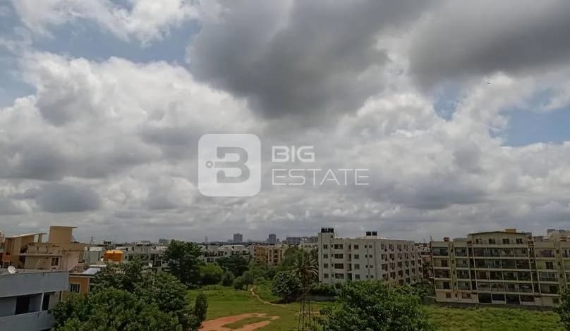 General Locality View