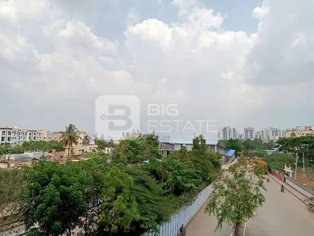 General Locality View