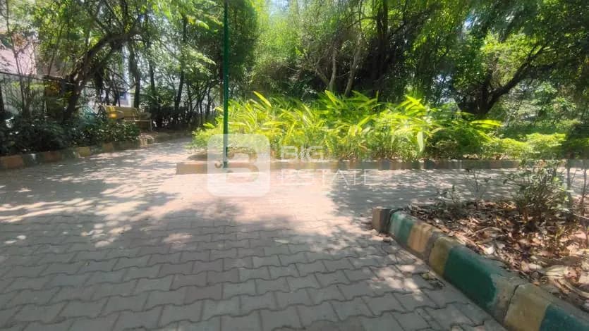 View of a Park