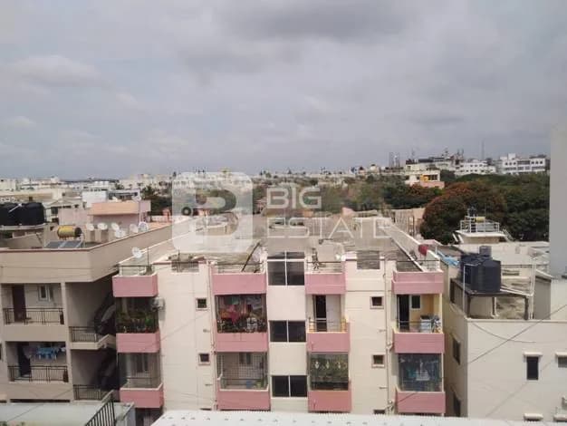 General Locality View