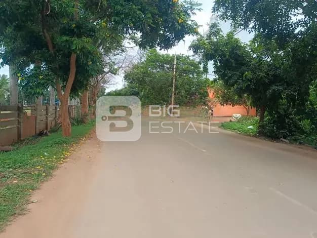 Streets and Roads