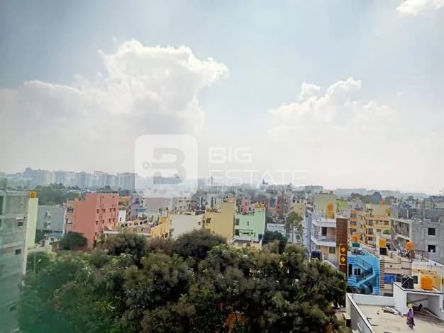 General Locality View