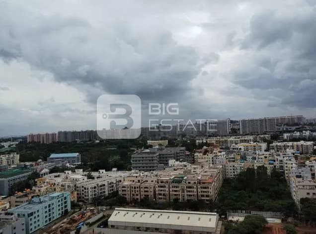General Locality View