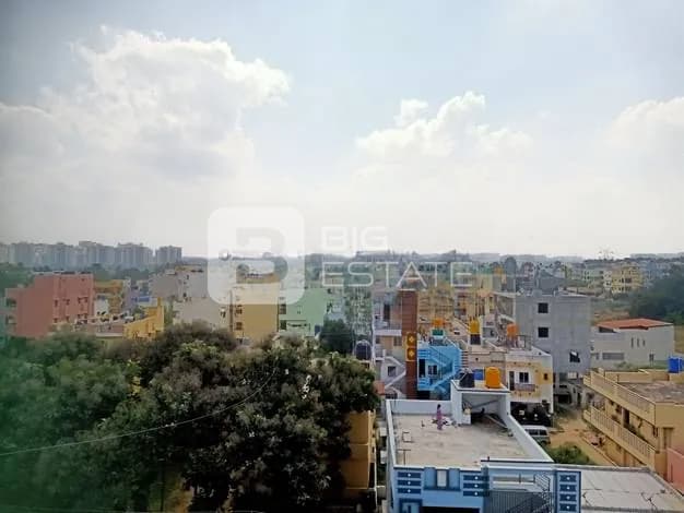 General Locality View