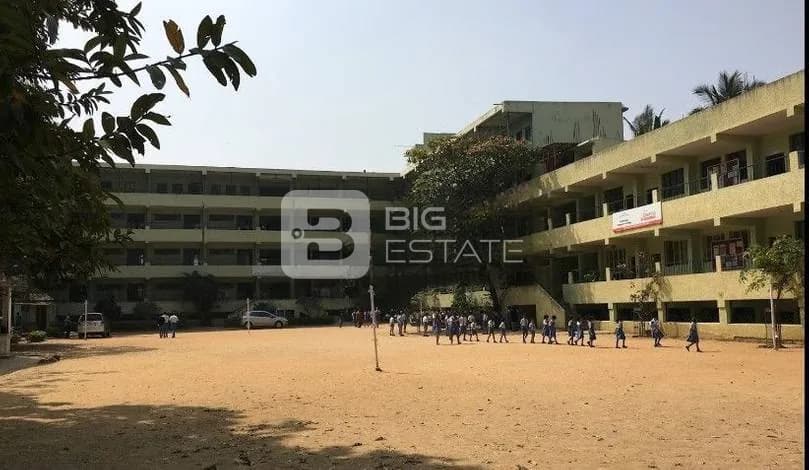 Schools