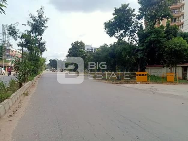 Streetlights in Locality