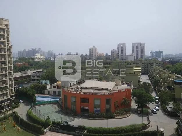 General Locality View