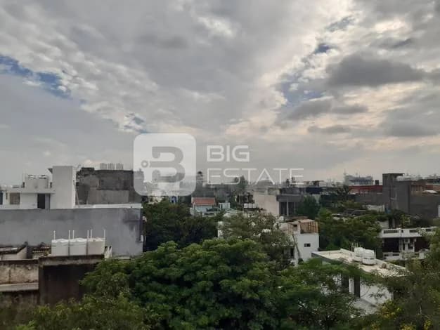 General Locality View