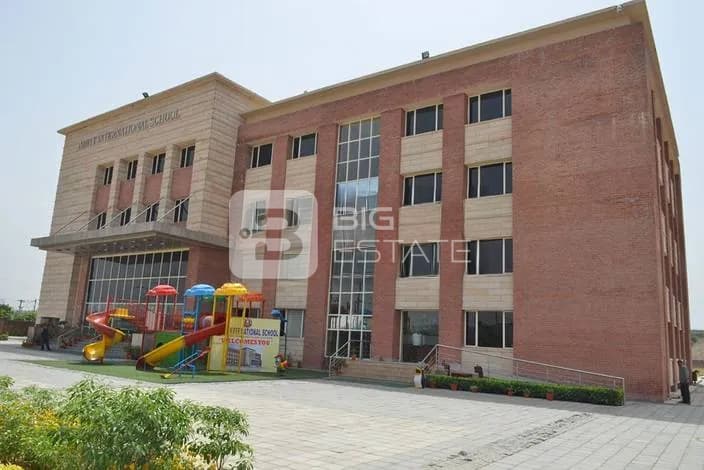 Schools