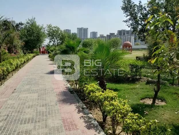 View of a Park