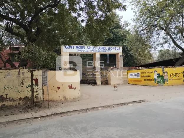 Govt Sr secondary School