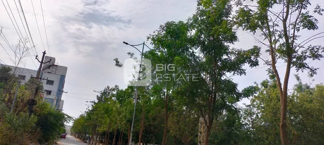 Streetlights in Locality