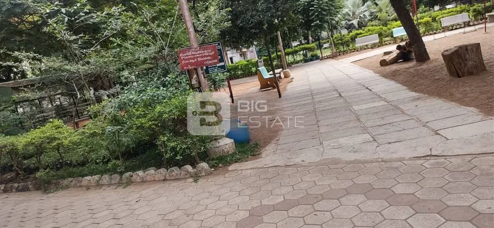 View of a Park
