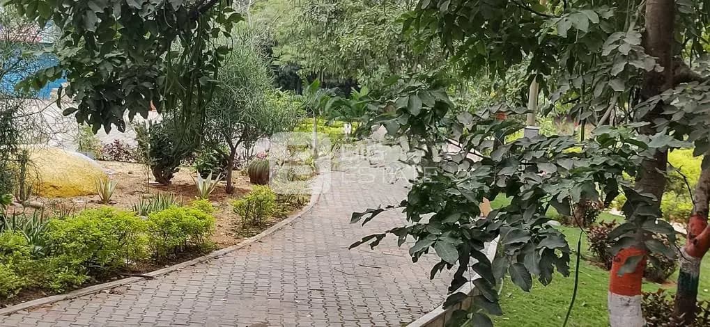 View of a Park