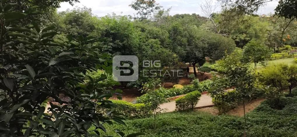 View of a Park