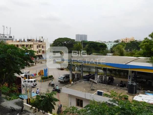 General Locality View