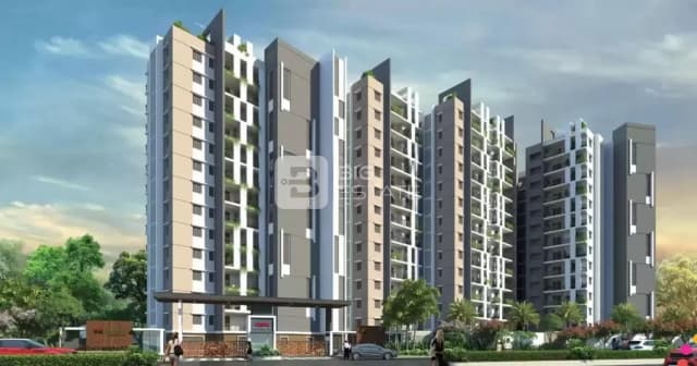 DSR RR Avenues