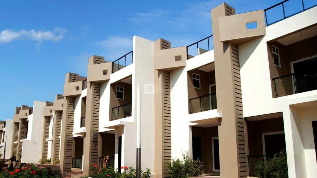 Edifice Almond Tree 1