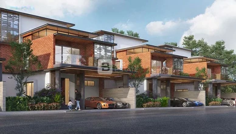 Purva Smiling Willows 1