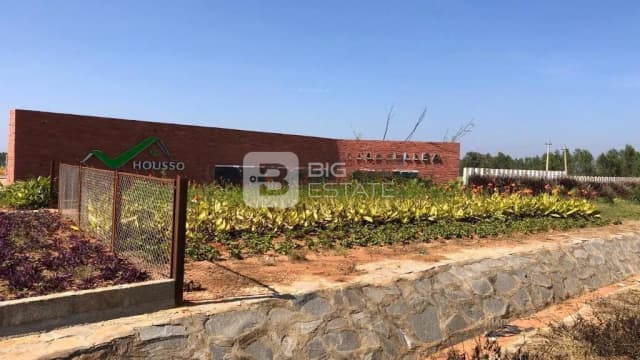 Housso Grevillea A Block