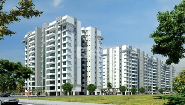 Purva Whitehall