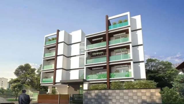 Evantha The Hummingbird