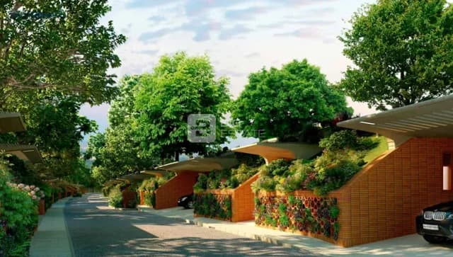 Total Environment After The Rain