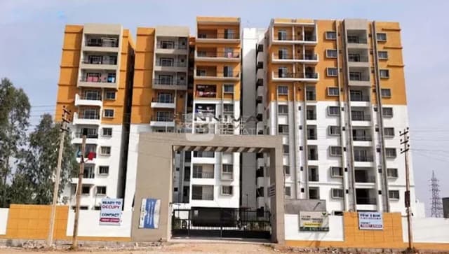 Shravanthi Sunniva Willow