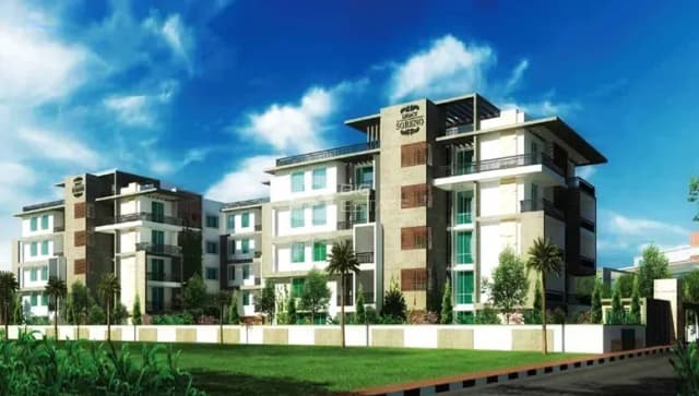 Legacy Soreno