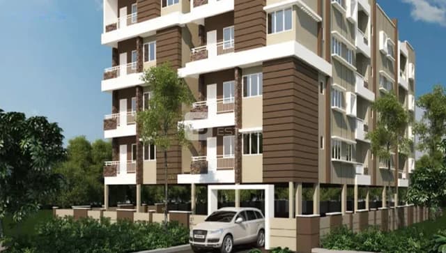 Innovative Olive Meadows