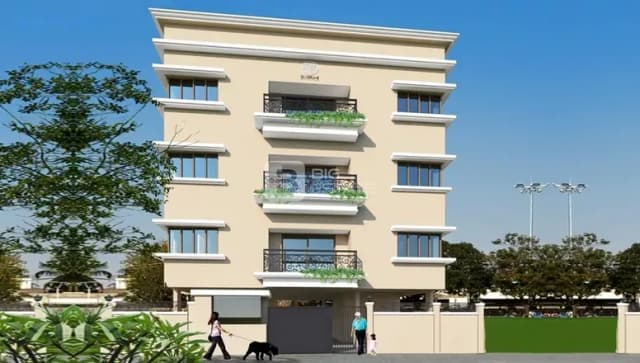 DF Silverline Nest