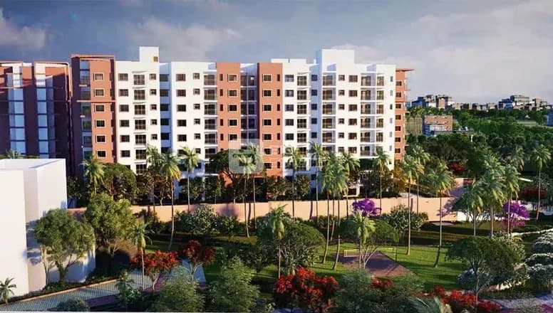 Brigade Meadows Plumeria 1