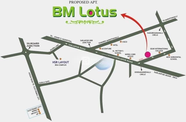 BM Lotus
