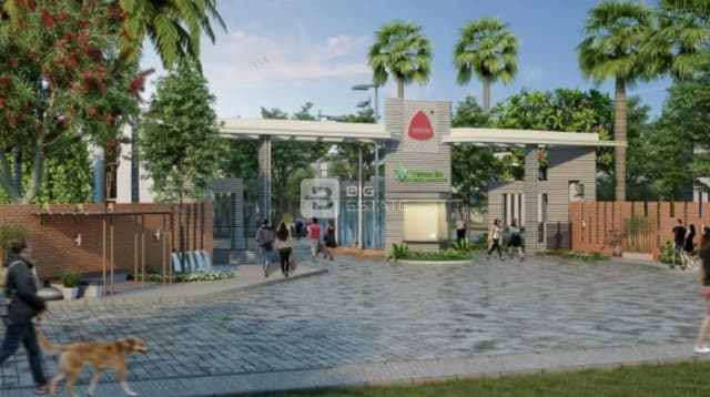 Trifecta Verde En Resplandor