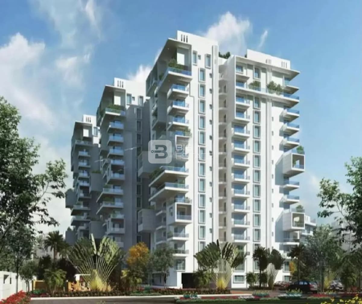 Trifecta Starlight 1