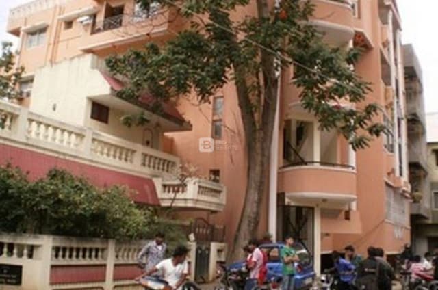 Skylark Emerald Nest