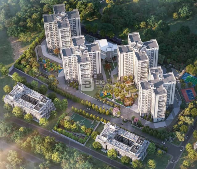 Prestige Pine Forest