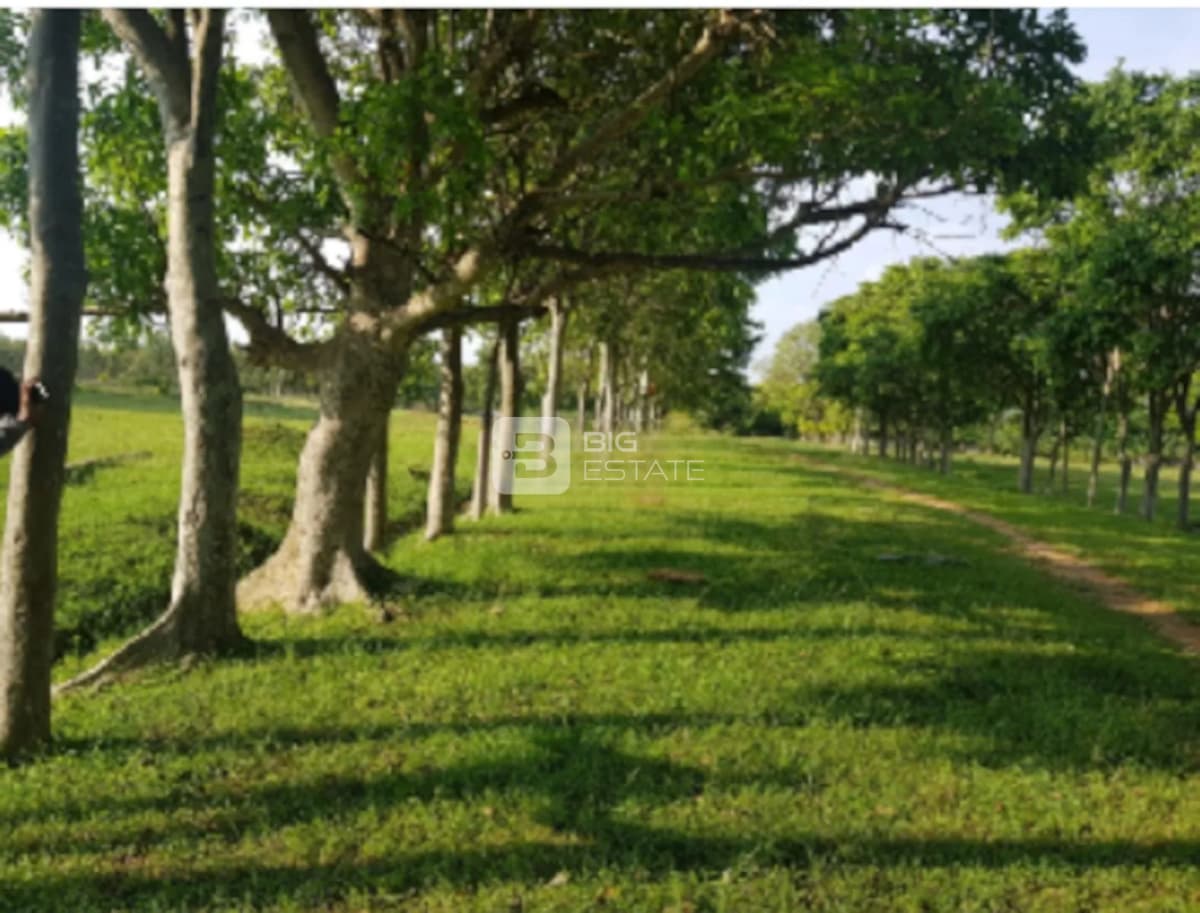 Address Vijayanagar Eco Village 1