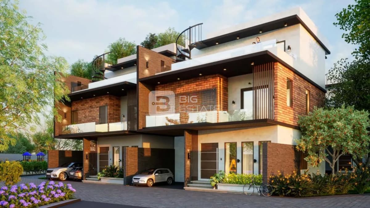 Saiven Mulberry Groves 1