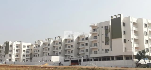 SV Meadows