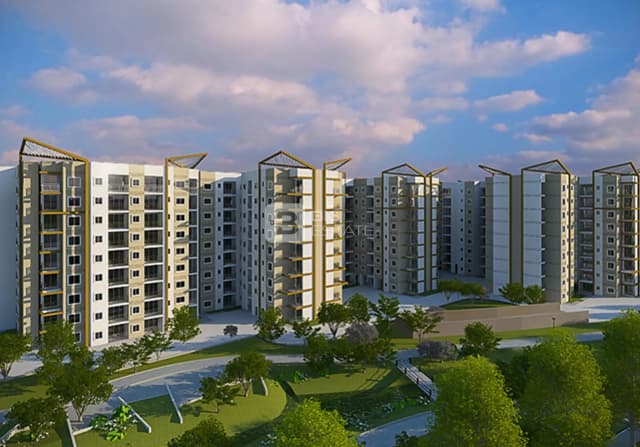 Brigade Plumeria At Meadows