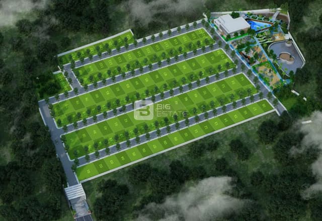 Sanjeevini Srushti Srigandha