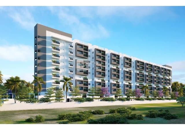 Platinum East Woods