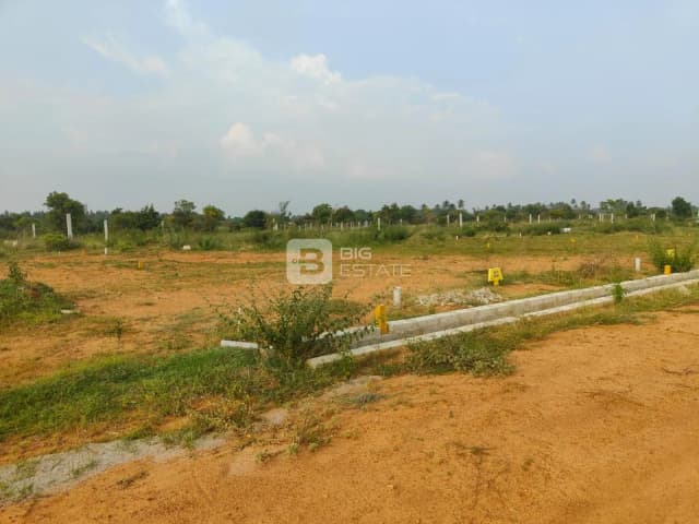 North Valley