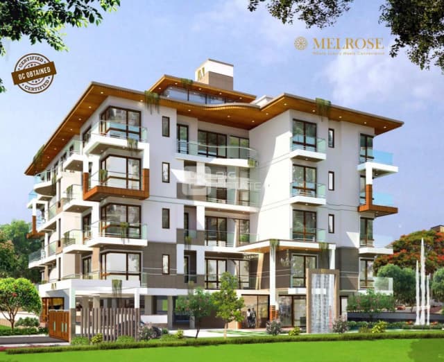 Arafa Melrose