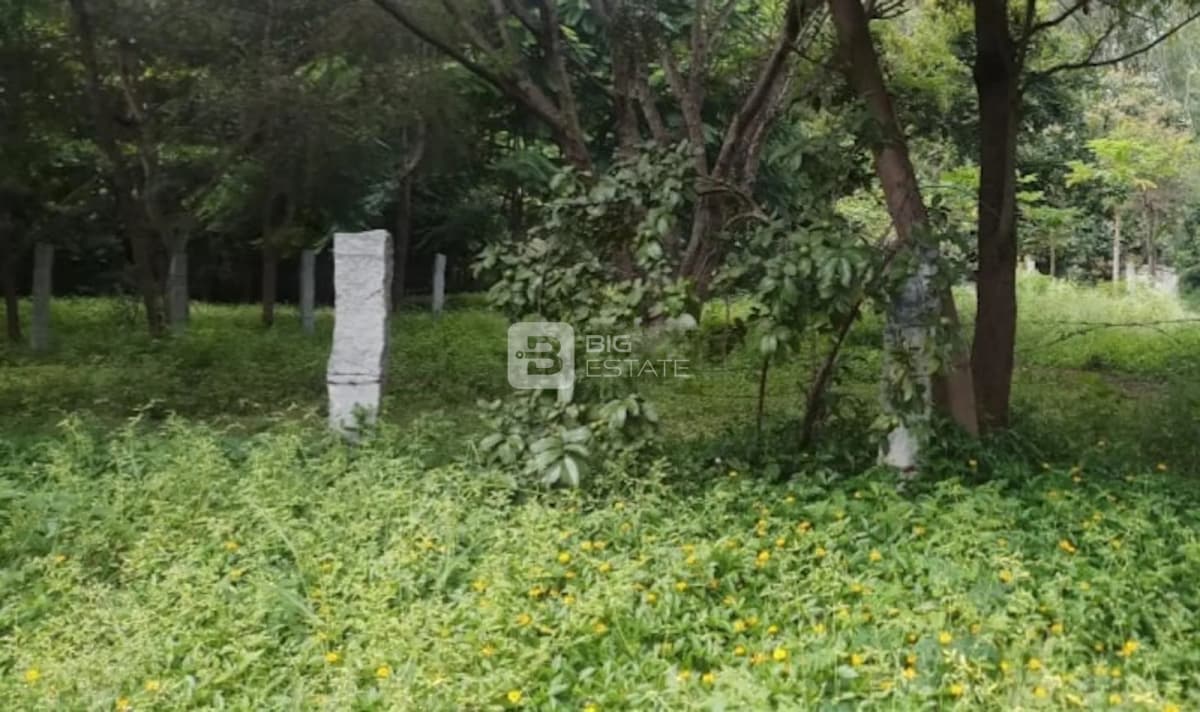 Neeraj Thirumala Nagar 1