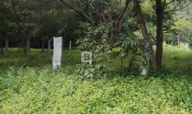 Neeraj Thirumala Nagar