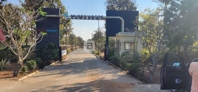 Thrive Muses Abode