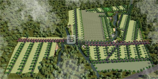SB Ecosprings