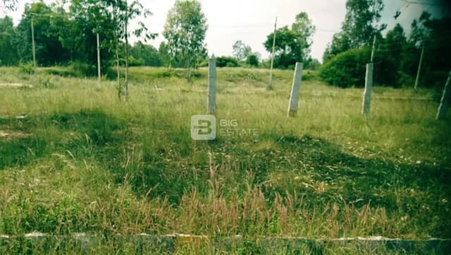 Neeraj Balaji Layout